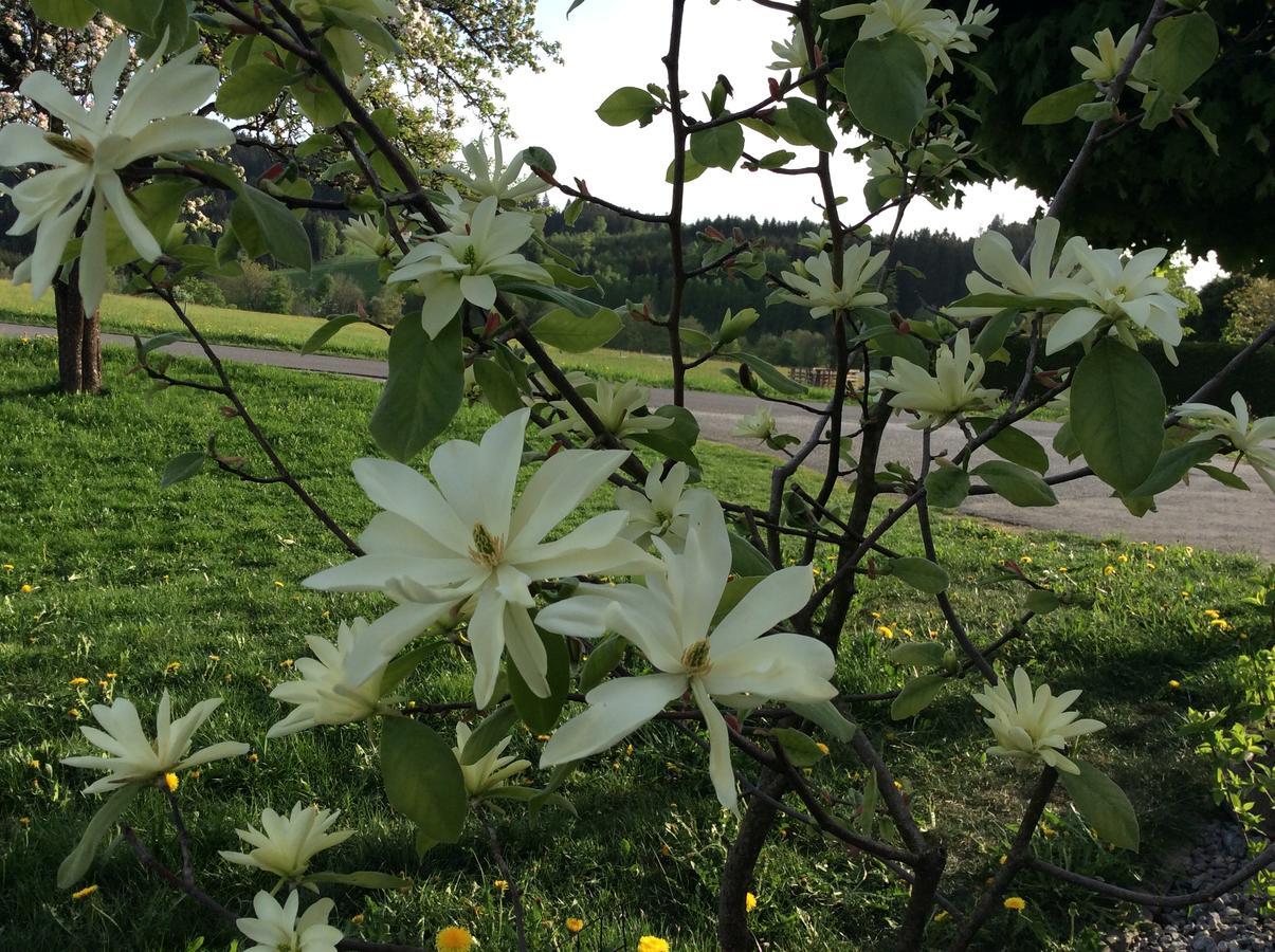 Helfenberg Ferienbauernhof Koller 빌라 외부 사진