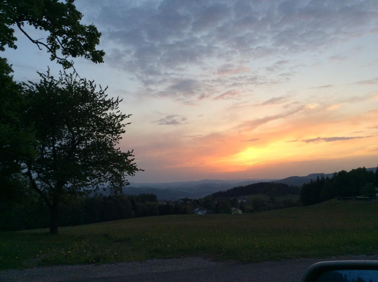 Helfenberg Ferienbauernhof Koller 빌라 외부 사진