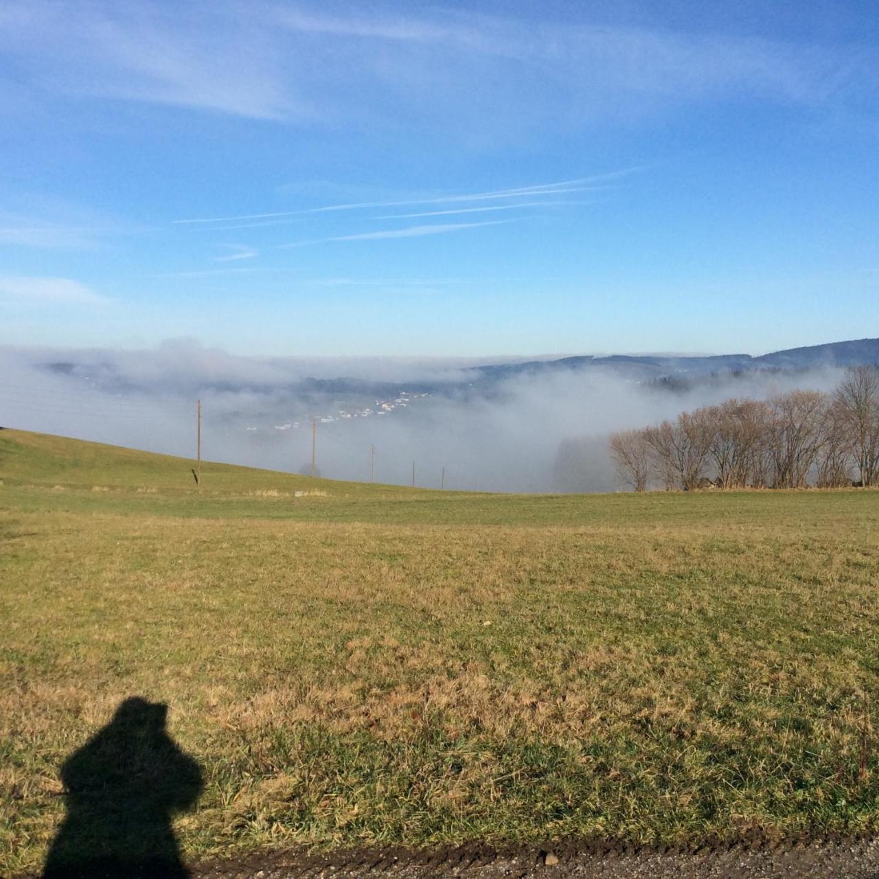 Helfenberg Ferienbauernhof Koller 빌라 외부 사진
