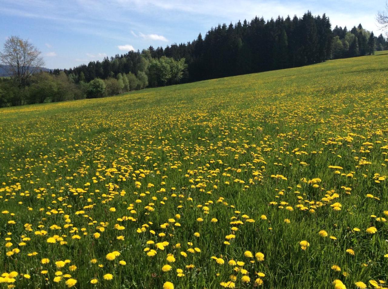 Helfenberg Ferienbauernhof Koller 빌라 외부 사진