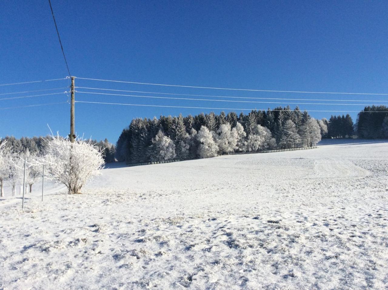 Helfenberg Ferienbauernhof Koller 빌라 외부 사진